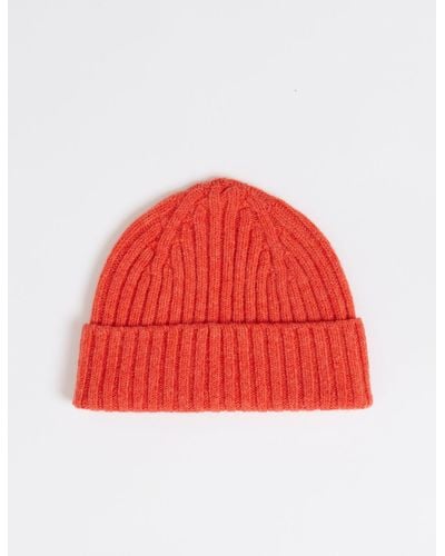 Bhode 2x2 Rib Beanie Hat (lambswool) - Red
