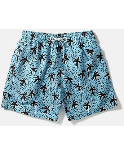 Boardies Flair Palm Swim Shorts (mid-length) - Blue