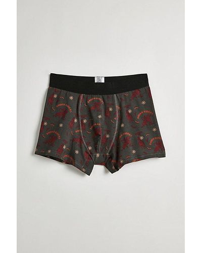 Urban Outfitters Arizona Rodeo Boxer Brief - Black