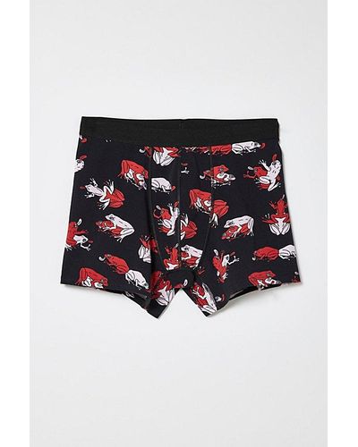 Urban Outfitters Tossed Frogs Boxer Brief - Black