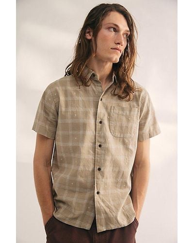 Katin Cruz Embroidered Plaid Short Sleeve Button-Down Shirt Top - Brown