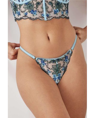 Wild Lovers Belluci Floral Thong - Blue