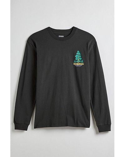 Parks Project Sequoia National Park Long Sleeve Tee - Black