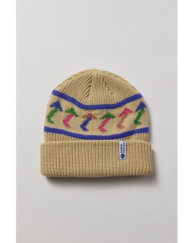 Parks Project Day Shrooms Beanie - Blue