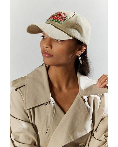 Urban Outfitters Greetings From Hawaii Dad Baseball Hat - Natural