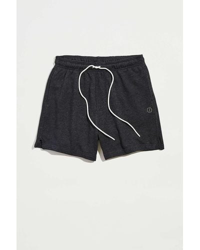 Standard Cloth French Terry Foundation Short - Black