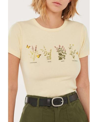 Urban Outfitters Herbs Chart Baby Tee - Multicolor
