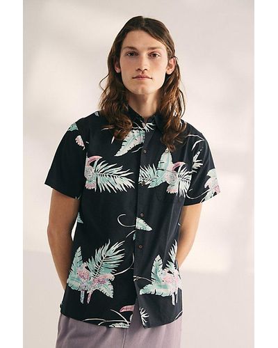Katin Paradise Tropical Print Short Sleeve Button-Down Shirt Top - Black
