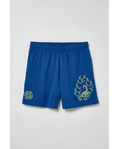 Urban Outfitters Uo Graphic Skate Short - Blue