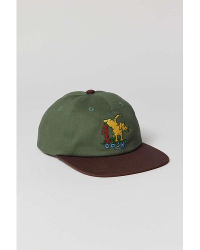 Urban Outfitters Obey Corridor Snapback Hat - Green