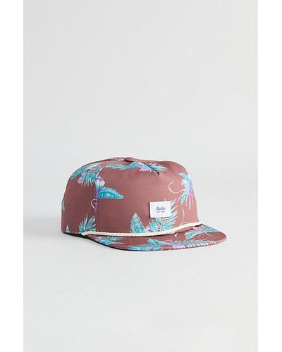 Katin Paradise Baseball Hat - Multicolour