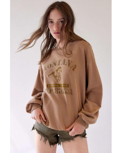 Urban Outfitters Montana Embroidered Pullover Sweatshirt In Brown,at