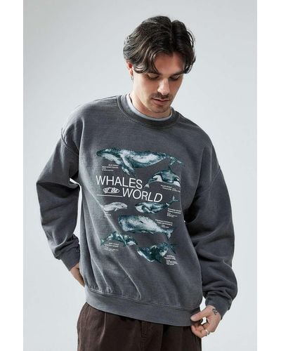 Urban Outfitters Uo Overdyed Black Whales World Sweatshirt - Grey