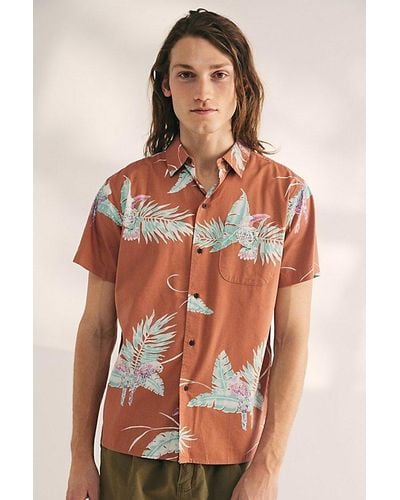 Katin Paradise Tropical Print Short Sleeve Button-Down Shirt Top - Multicolor