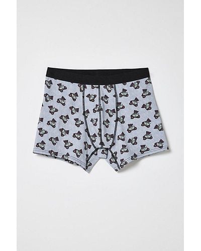 Urban Outfitters Don'T Be A D*Ck Boxer Brief - Grey