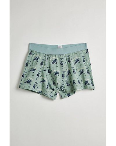 Urban Outfitters Arizona Rodeo Boxer Brief - Green