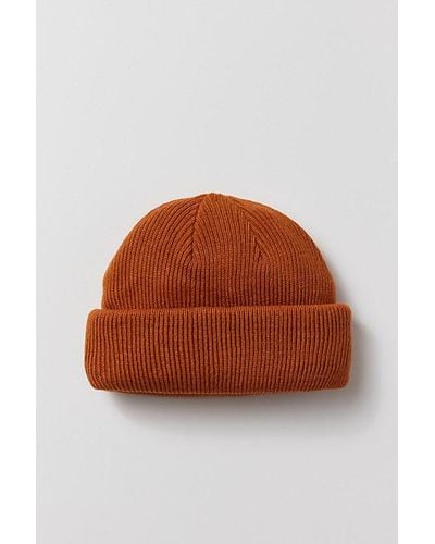 Urban Outfitters Uo Short Roll Knit Beanie - Brown