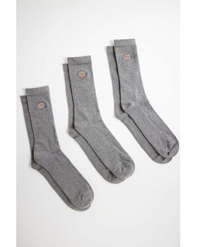 Dickies Grey Valley Grove Socks 3-pack - White