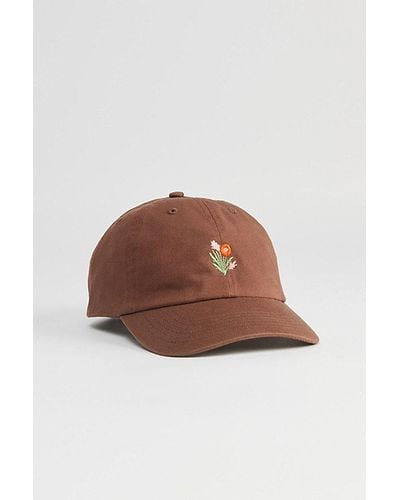 Urban Outfitters Floral Icon Dad Hat - Brown