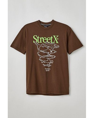 StreetX Alpha Species Tee - Brown