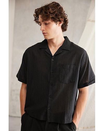 Standard Cloth Liam Cropped Short Sleeve Shirt Top - Black