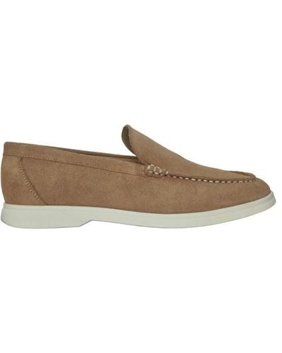 Firetrap Squire Shoes - Brown