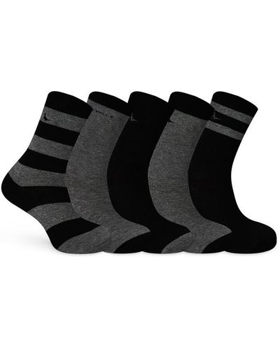 Jack Wills Bickleigh Socks 5pk - Black