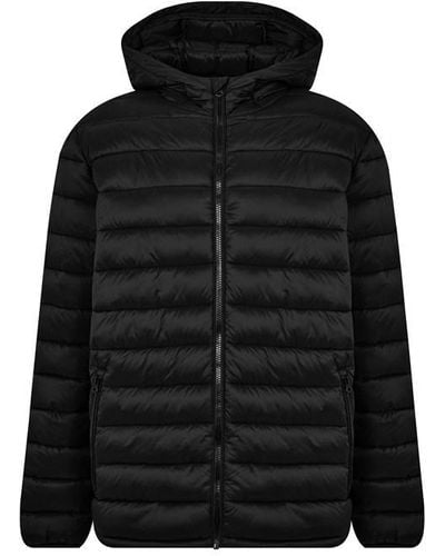 SoulCal & Co California Lightweight Padded Jacket - Black