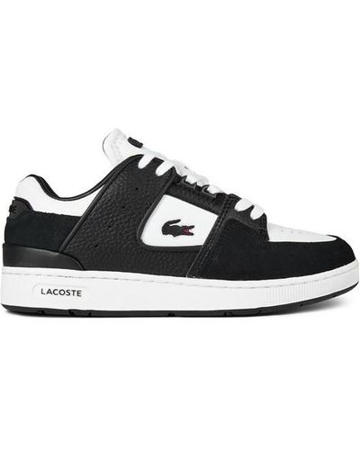 Usc clearance lacoste trainers