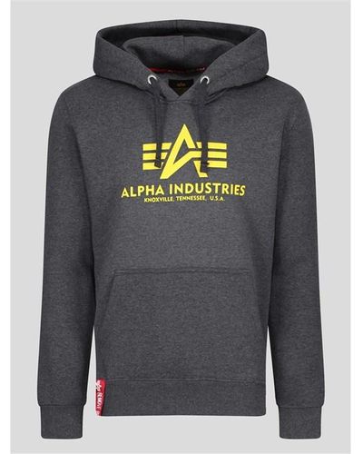 Alpha Industries Alpha Basc Hoody Sn34 - Grey