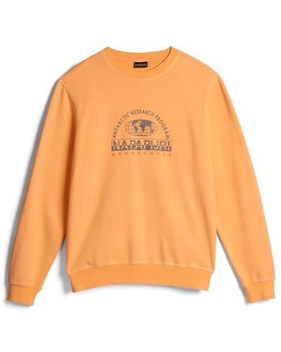 Napapijri Antartic Research Logo Sweatshirt - Orange