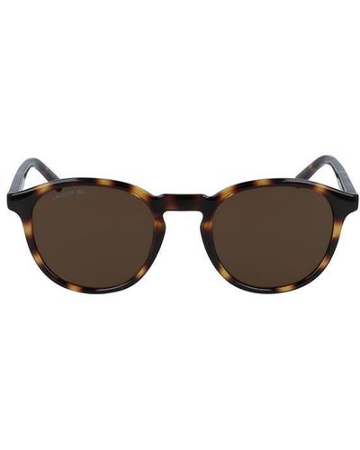 Lacoste Sunglasses - Brown