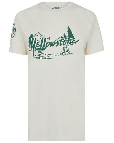 Daisy Street Yellowstone T Shirt - Grey