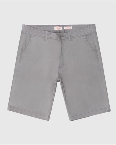 SoulCal & Co California Chino Shorts - Grey