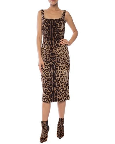 Dolce & Gabbana Leopard-print Silk-blend Crepe Midi Dress - Brown