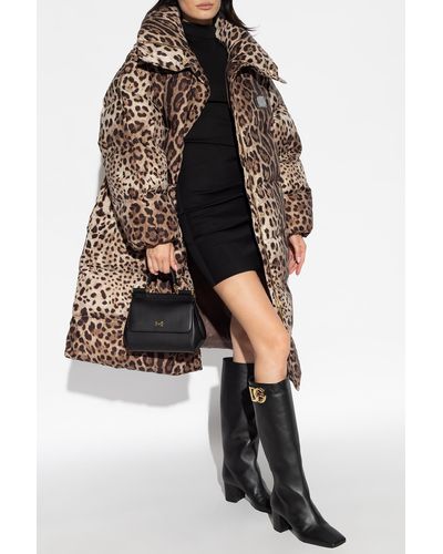 Dolce & Gabbana Jacket With Animal Motif - Brown