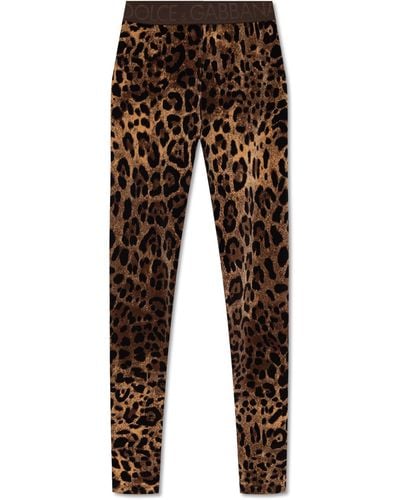 Dolce & Gabbana Leggings With Leopard Print - Brown