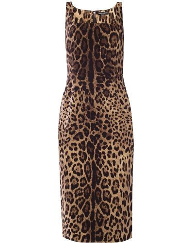 Dolce & Gabbana Leopard-print Silk-blend Crepe Midi Dress - Brown