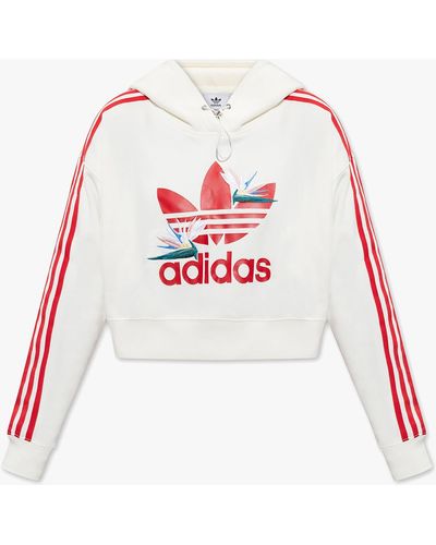Felpa adidas tarocca hotsell