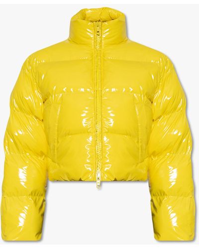 Balenciaga Jacket With High Neck - Yellow