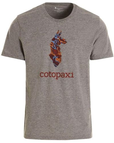 COTOPAXI T-shirt 'altitude Llama' - Gray