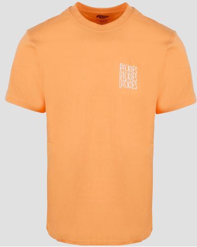 Dickies Creswell t-shirt - Arancione