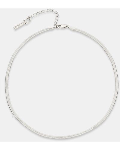 Whistles Flat Snake Chain Necklace - White