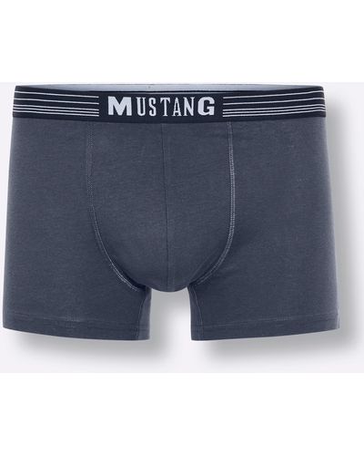 Mustang Pants - Blau