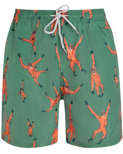 Robert & Son Olive Orangutan Swim Shorts - Green