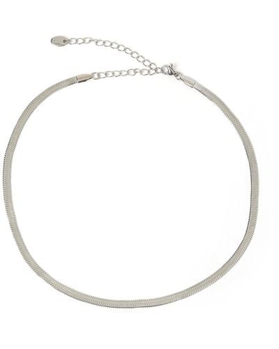 ARMS OF EVE Sylvia Silver Snake Chain Necklace - Metallic