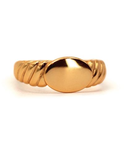 VicStoneNYC Fine Jewelry Screw Band Design Oval Signet Ring - Metallic