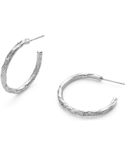 Elk & Bloom Sterling Thin Hoop Earrings - Metallic