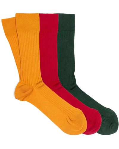 Dalgado 3-pack Scottish Lisle Cotton Socks Bold Mix - Red