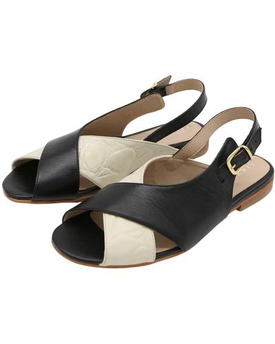 Stivali New York Roots Sandals In Black/ivory Embossed Leather